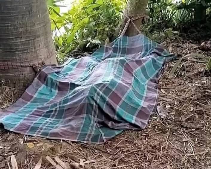 নড়াইলে ইজিবাইক চালকের গলা ও পুরুষাঙ্গ কর্তন সহ মরদেহ উদ্ধার।